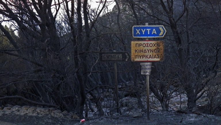 Οριοθετημένη και χωρίς ενεργό μέτωπο η πυρκαγιά στα Κύθηρα (video)