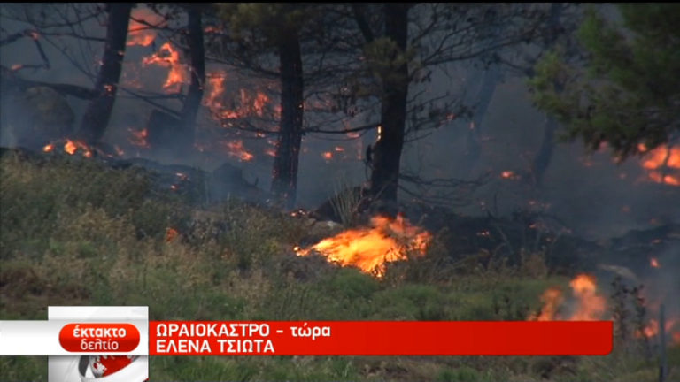 Υπό μερικό έλεγχο η φωτιά ανάμεσα στα χωριά Μεσαίο και Πετρωτό Θεσσαλονίκης (video)