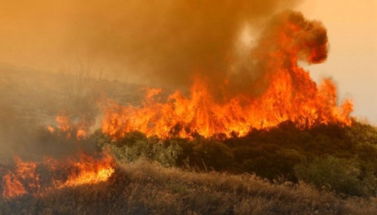 Κοζάνη: Πρόλαβαν επέκταση πυρκαγιάς σε δάσος στα Νάματα