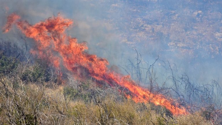 Χανιά: Φωτιά σε καλαμιές στον Κλαδισό ποταμό
