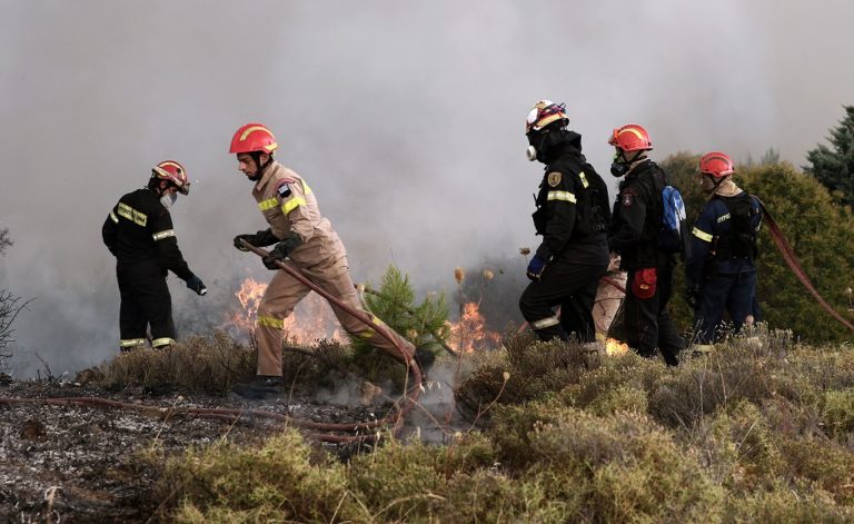 Πολύ υψηλός κίνδυνος πυρκαγιάς και για αύριο Σάββατο – Η πρόγνωση της ΕΜΥ