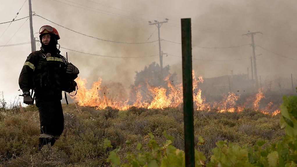 Πυρκαγιά στην Κακή Βίγλα Σαλαμίνας (video)