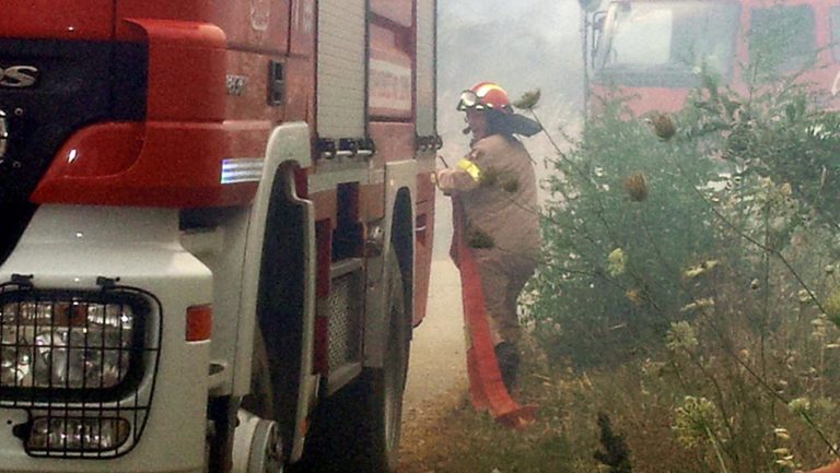 Βραβεύτηκαν πυροσβέστες της Θεσσαλίας