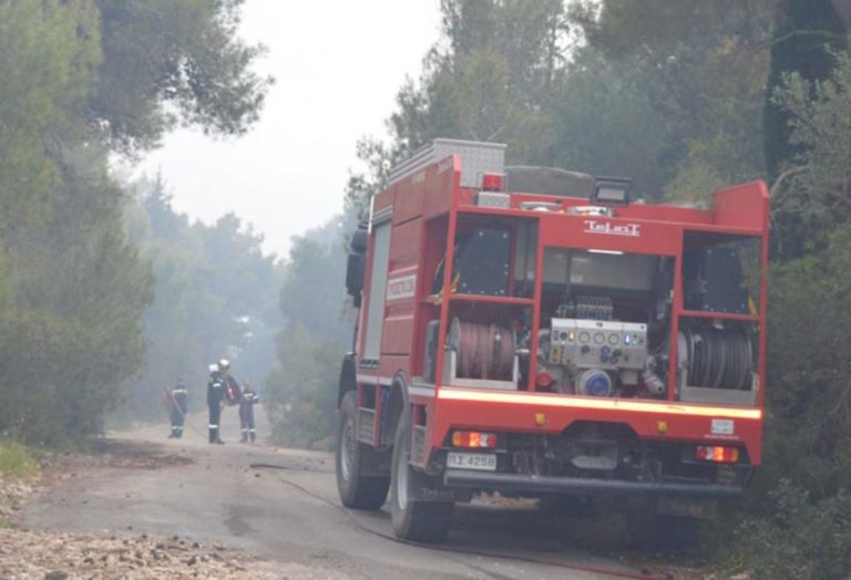 Σε ύφεση η πυρκαγιά στις Μαριές Ζακύνθου