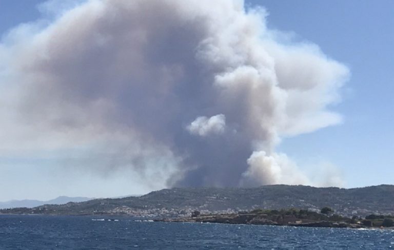 Φωτιά σε δασική έκταση στις Σπέτσες