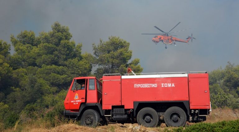 Κομοτηνή: Μάχη με τις φλόγες στον υδροβιότοπο της Βιστωνίδας