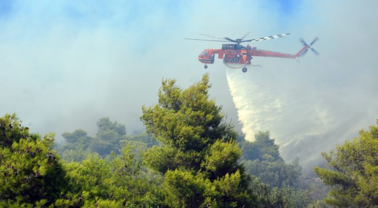 Υπό έλεγχο η πυρκαγιά στη Νέα Μάκρη (video)