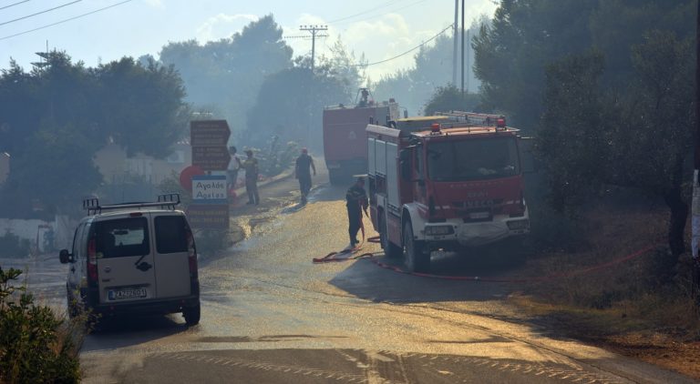 ΕΚΖ: Συγκεντρώσεις για αποζημιώσεις από πυρκαγιές