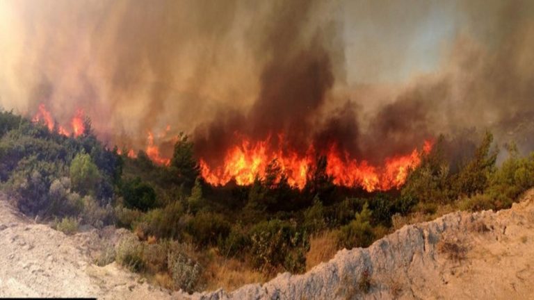 Χανιά: Μεγάλη φωτιά στο Καλαμίτσι Αλεξάνδρου