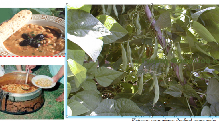 Κοζάνη: Γιορτή φασολιού στο Σισάνι-Στροφή στην βιολογική καλλιέργεια