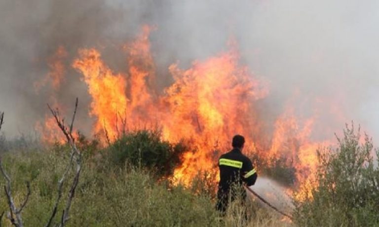 Πρέσπα: Φωτιά στο Βροντερό – Καίει δασική έκταση