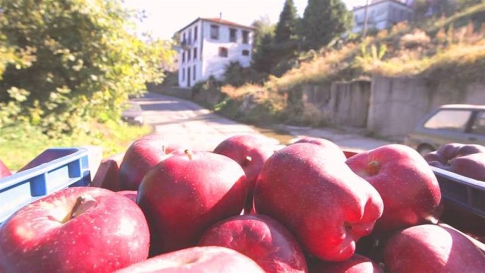 Αμύνταιο: Διανομή μήλων στους τρίτεκνους