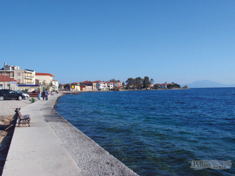 Πτώμα ηλικιωμένου επέπλεε στην παραλία της Αγριάς