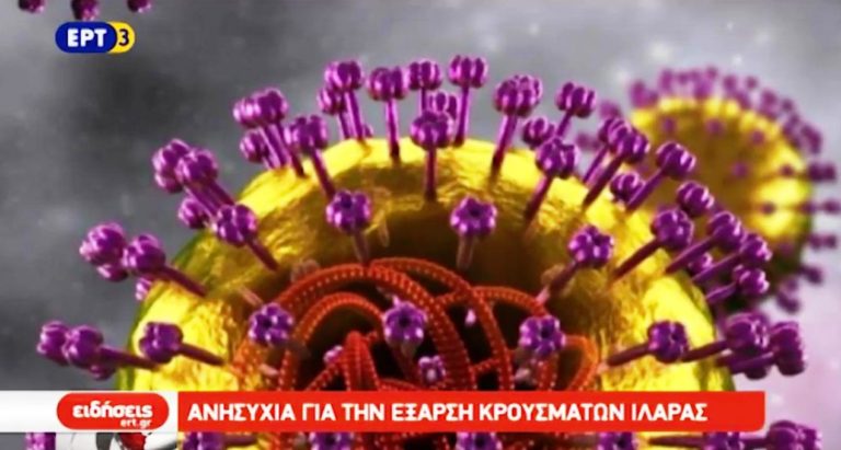 Ανησυχία για την έξαρση κρουσμάτων ιλαράς (video)