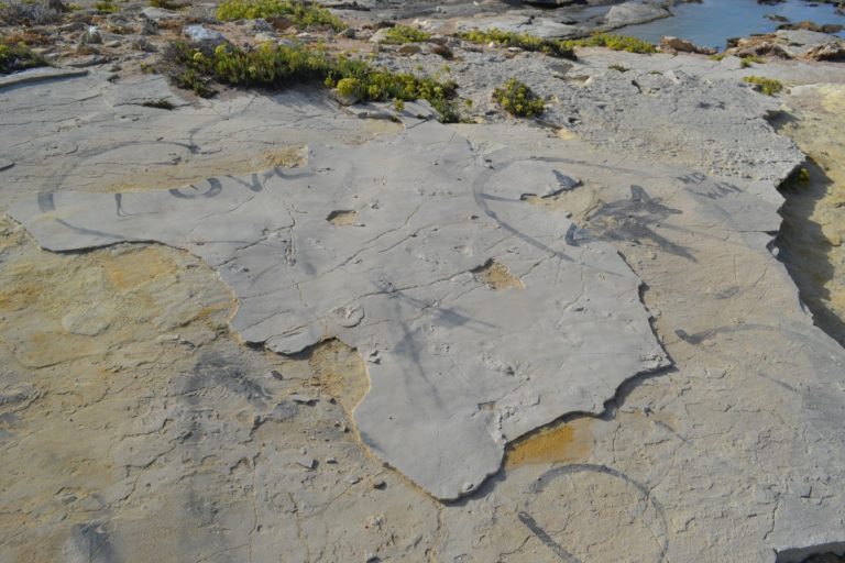 Κλάπηκαν απολιθώματα αποτυπωμάτων στην Κίσσαμο