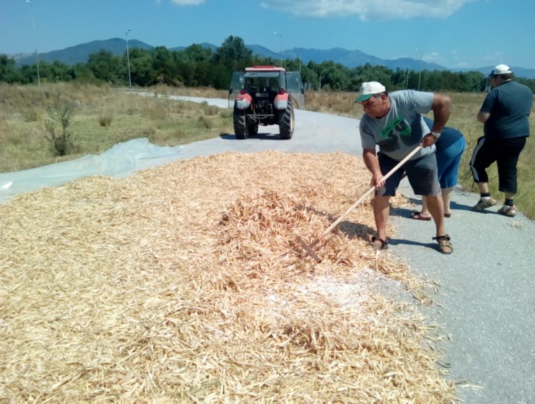 Κομοτηνή: Φασόλια, ρεβίθια και φακές, όπως της γιαγιάς