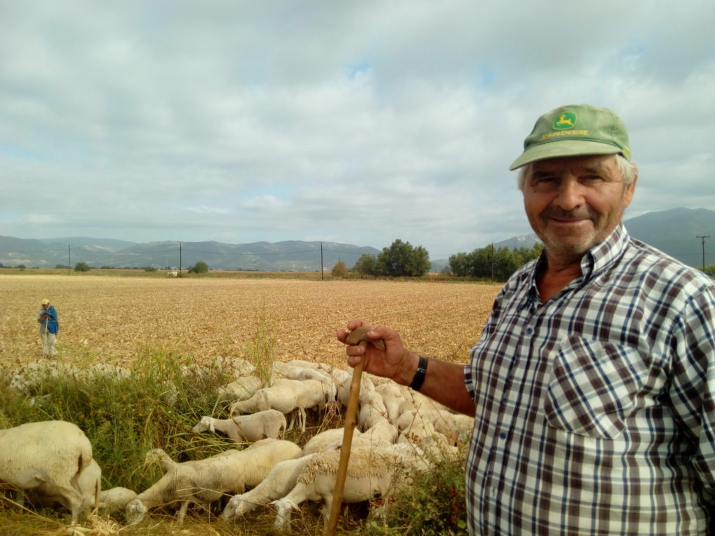 Κομοτηνή: Μισό αιώνα κτηνοτρόφος