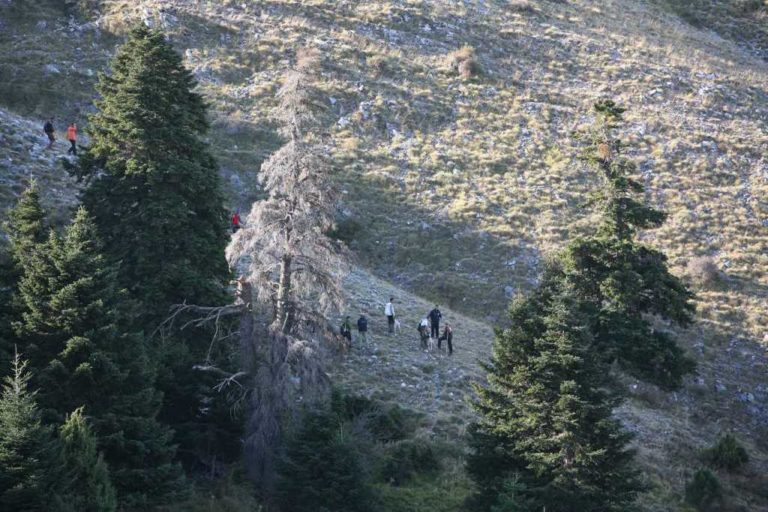 Η Ελλάδα πρωταθλήτρια στα Πόιντερ και η Ιταλία στα Σέτερ