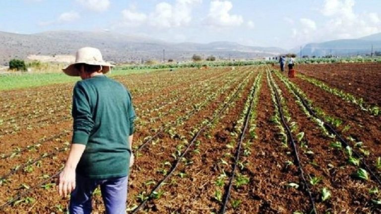 Μήνυμα Ν. Παπαδόπουλου για Ημέρα Αγρότισσας