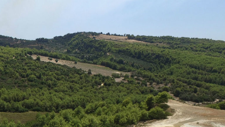 Ανοίγει ο δρόμος για την πρόσληψη Δασολόγων και Δασοπόνων για τους δασικούς χάρτες