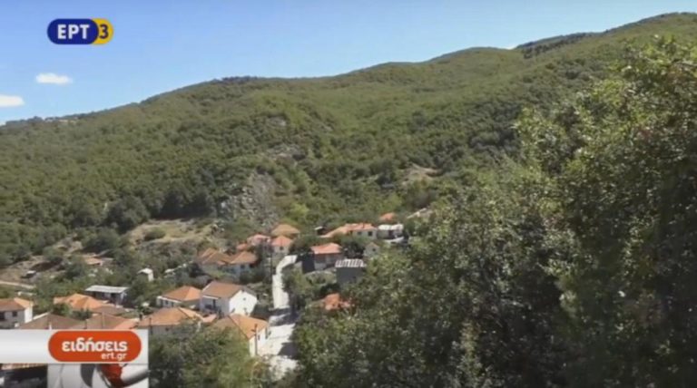 Ερίζουν για το δάσος στο Ελάφι Πίνδου (video)