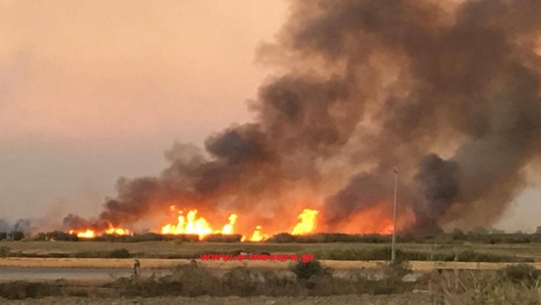 Μεγάλη φωτιά σε εξέλιξη στην περιοχή Μόλα Καλύβα Κασσάνδρας