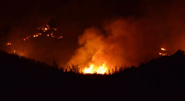 Τσεχία: Περίπου 900 πυροσβέστες στη μάχη με τις φλόγες στα σύνορα με τη Γερμανία