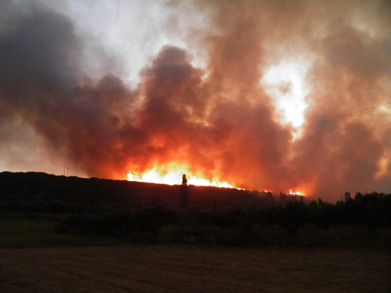 Ρέθυμνο: Υπό μερικό έλεγχο φωτιά στο Αρολίθι  (audio)    