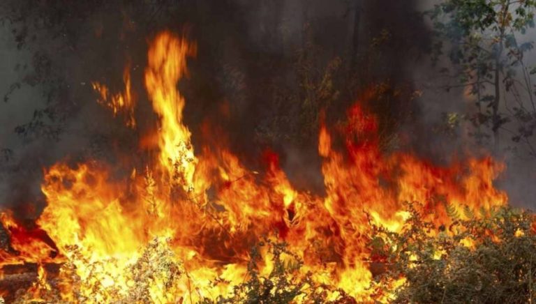 Ηράκλειο: Σε εξέλιξη πυρκαγιά στην περιοχή Αγκαράθου