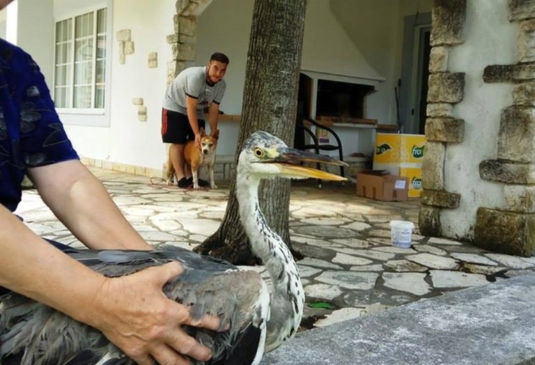 Κέρκυρα: Ξηρασία στις Αλυκιές Λευκίμμης