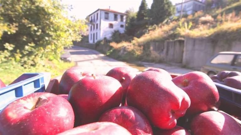 Αμύνταιο: Μήλα σε τρίτεκνες οικογένειες