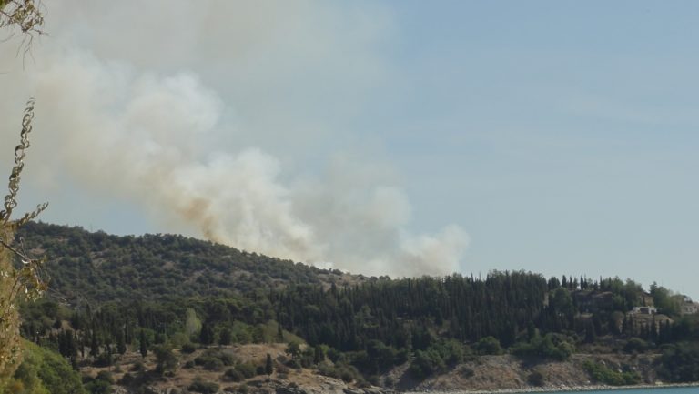 Καβάλα: Κάηκαν 30 στρέμματα σε δασική πυρκαγιά
