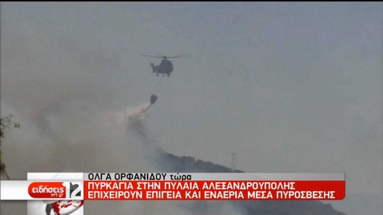 Οριοθετήθηκε η φωτιά στην Πυλαία Αλεξανδρούπολης (video)