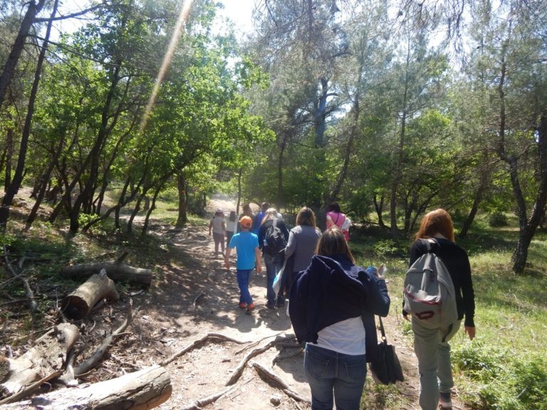 Στο 80% η μείωση της επισκεψιμότητας στη Δαδιά (ηχητικό)