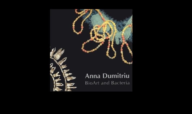Η ‘Αννα Ντουμιτρίου «παντρεύει» τη μόδα με τη μικροβιολογία