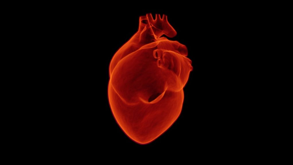 Έρευνες για την ενίσχυση θεραπειών της καρδιακής ανεπάρκειας που οδηγεί στη σήψη