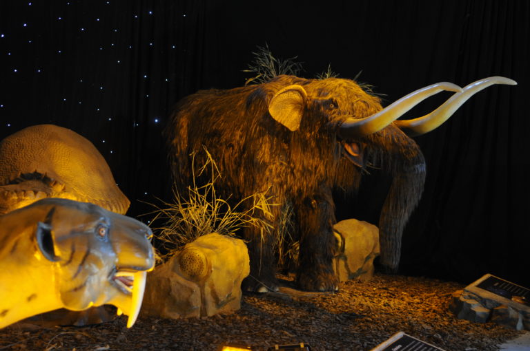 “Ice Age. Στην εποχή των παγετώνων” – H νέα διαδραστική έκθεση του “Ελληνικού Κόσμου” (video)