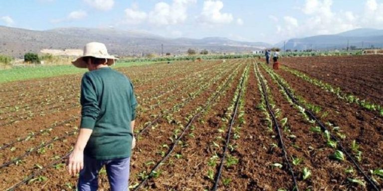 Βοήθημα στις πολύτεκνες αγρότισσες