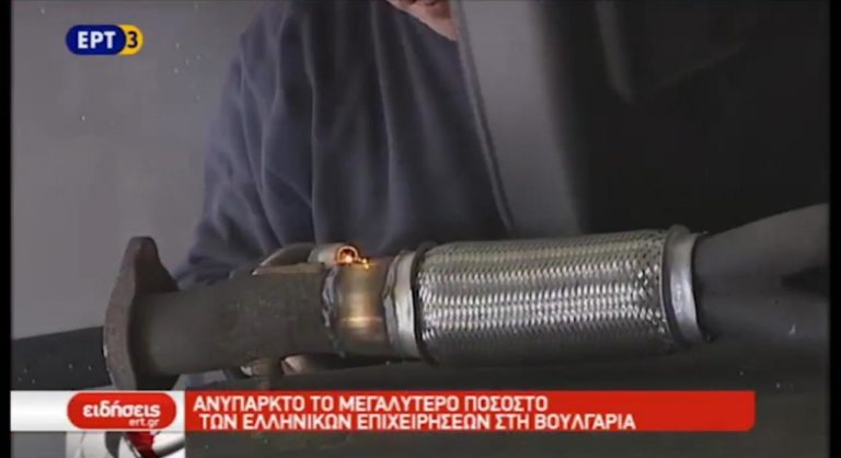 Παπανάτσιου: Ανύπαρκτες οι περισσότερες ελληνικές επιχειρήσεις στη Βουλγαρία (video)