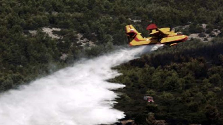 Αχαΐα: Καίγεται προστατευόμενη δασική έκταση στην περιοχή Καλόγρια