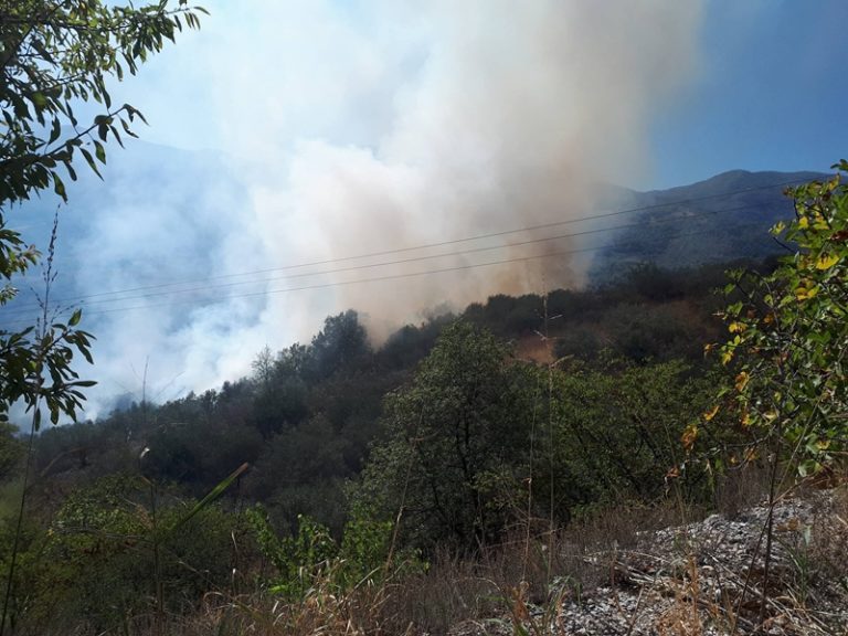 Καρδίτσα: Φωτιά μεταξύ Μητρόπολης και Μεσενικόλα