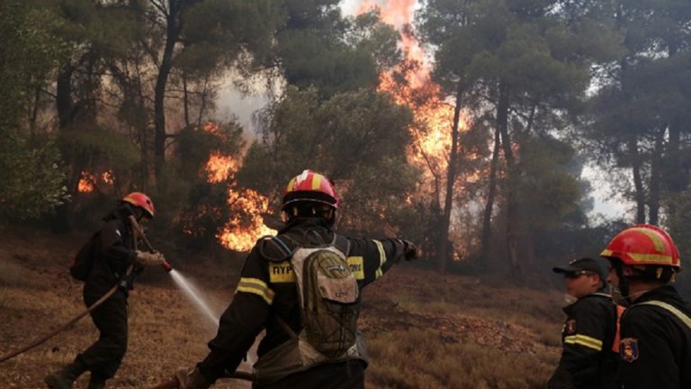 Χωρίς ενεργό μέτωπο η φωτιά στη Σέτα Ευβοίας (video)