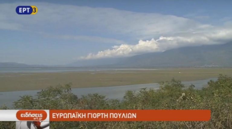 Ευρωπαϊκή γιορτή πουλιών στην Κερκίνη (video)