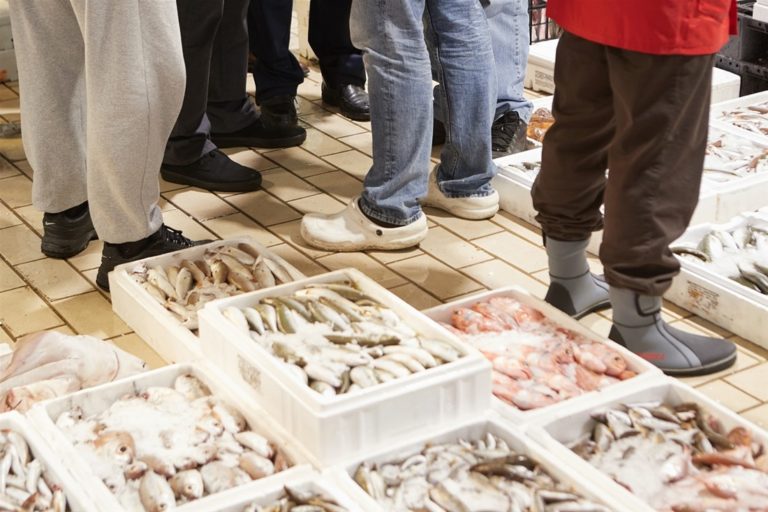 Κατάσχεση 200 κιλών ψαριών στην ιχθυόσκαλα της Μηχανιώνας