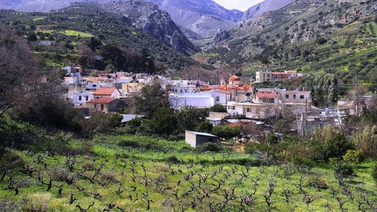 Κάηκε καίγοντας κλαδιά