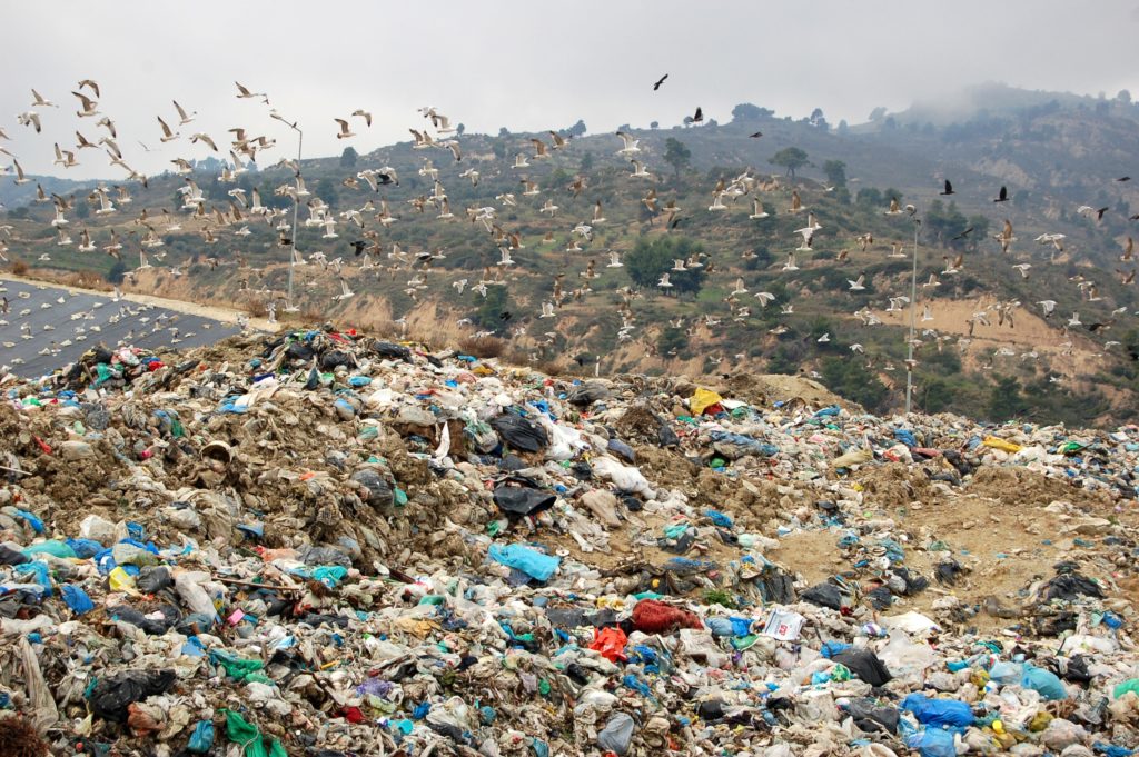 Καλαμάτα: Δραματική η κατάσταση στον σκουπιδότοπο