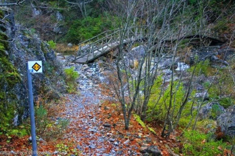 Πτολεμαΐδα: Εξόρμηση της ΟΛΕ στον Όλυμπο