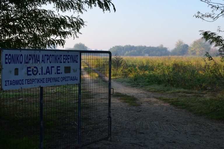 Ορεστιάδα: Παραχωρείται αγρόκτημα στο Πανεπιστήμιο