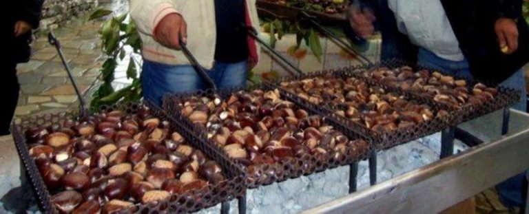 Υπόμνημα δήμου Β. Κυνουρίας για την ενίσχυση των παραγωγών κάστανου της περιοχής
