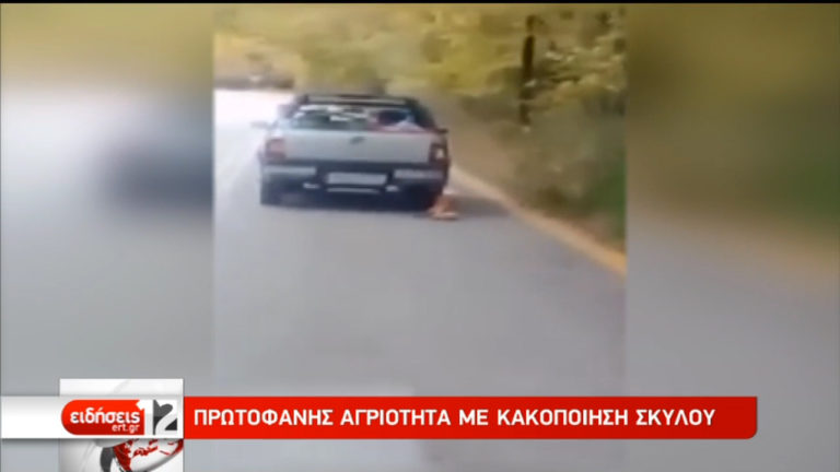 Πάτρα:  Φρικτό θάνατο βρήκε ζώο παγιδευμένο σε αγροτικό όχημα (video)
